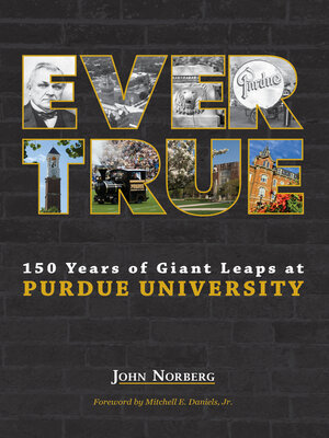 cover image of Ever True